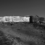 harran-abit-04